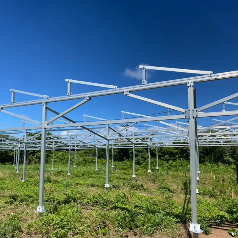 Zonneparken: toekomstige sterren van groene energie
