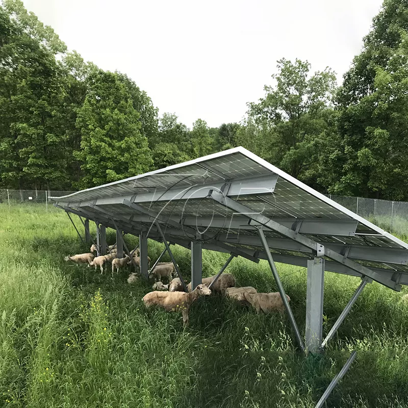 Zonnepanelen voor de boerderij: de duurzaamheid van landbouwenergie naar een hoger niveau helpen!